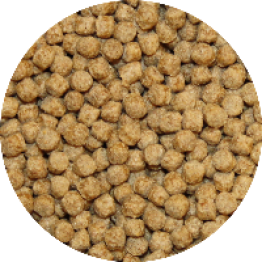 shop4409500.pictures.Vivani Premium Wheat Germ 3 mm 2005
